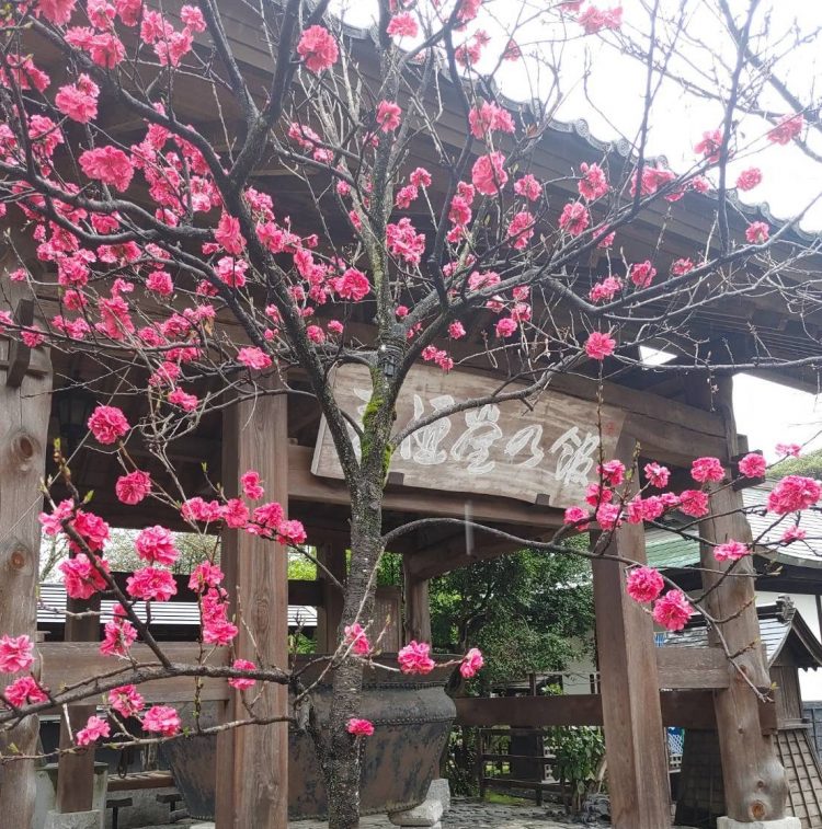 日頃の稽古の成果を披露！お弟子さん同士の交流も嬉しい「お楽しみ会」を開催しました